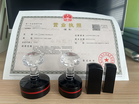 臨港新片區(qū)注冊公司全攻略:政策紅利+流程詳解,助你搶占自貿(mào)區(qū)先機(jī)!