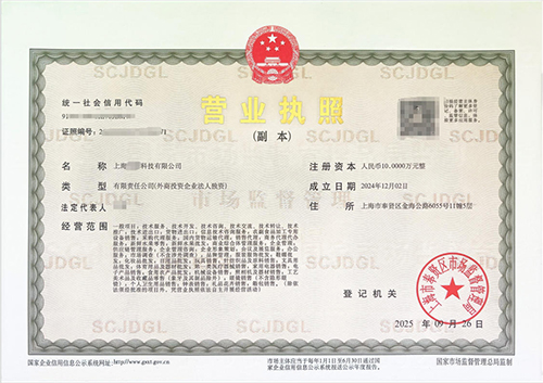 上海公司注冊全攻略:流程、條件與常見坑點(diǎn)詳解